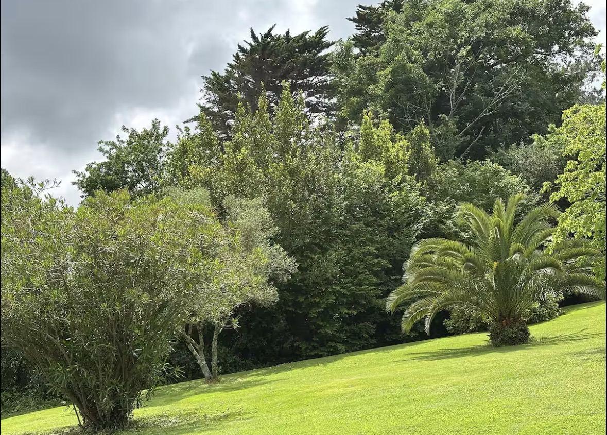 Biarritz villa garden