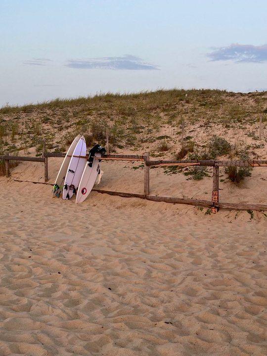 Surfboard resting against a fence on the dunes