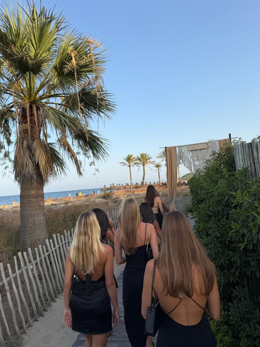 Women walking toward the beach along a palm-lined path